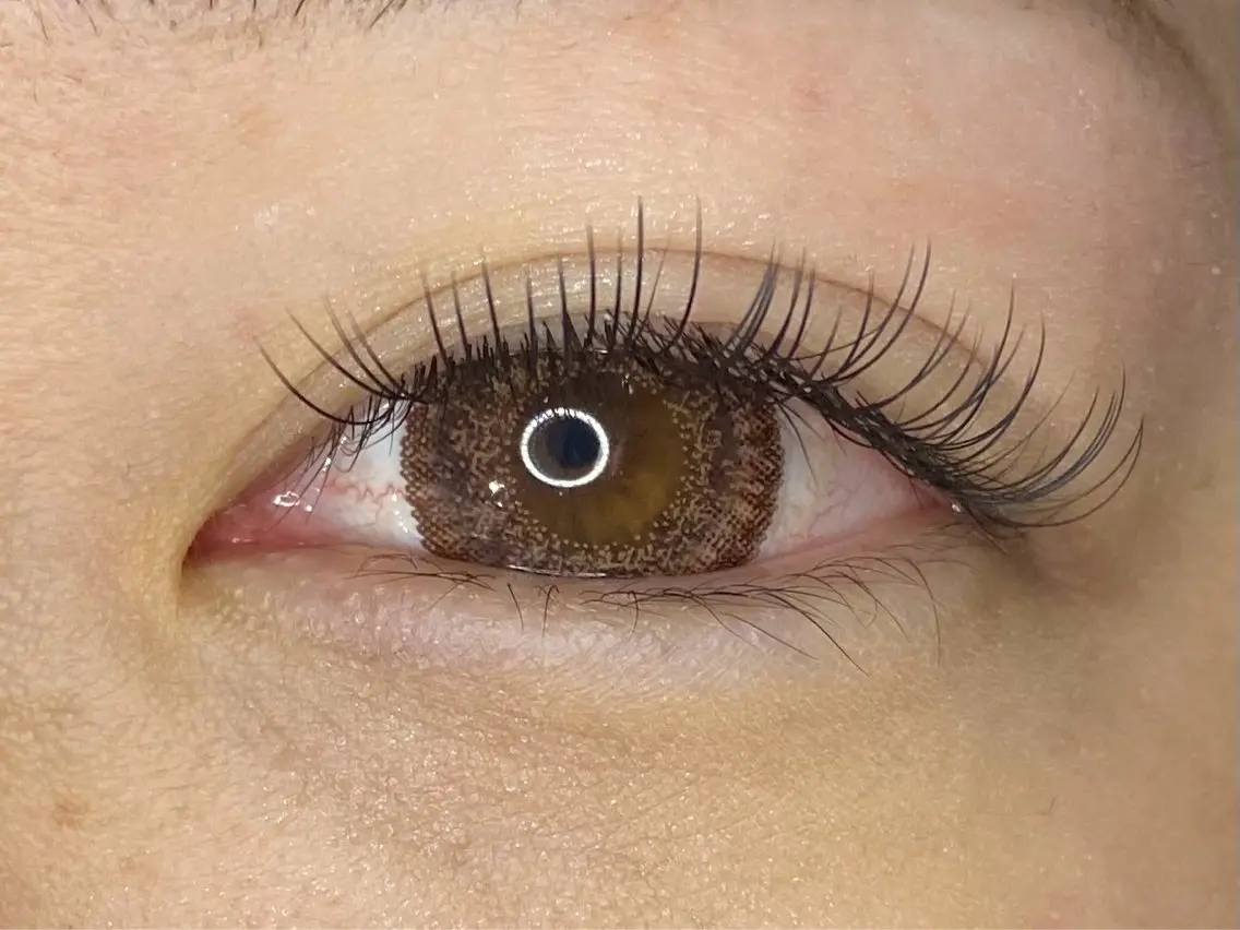 フラットラッシュ80本の写真