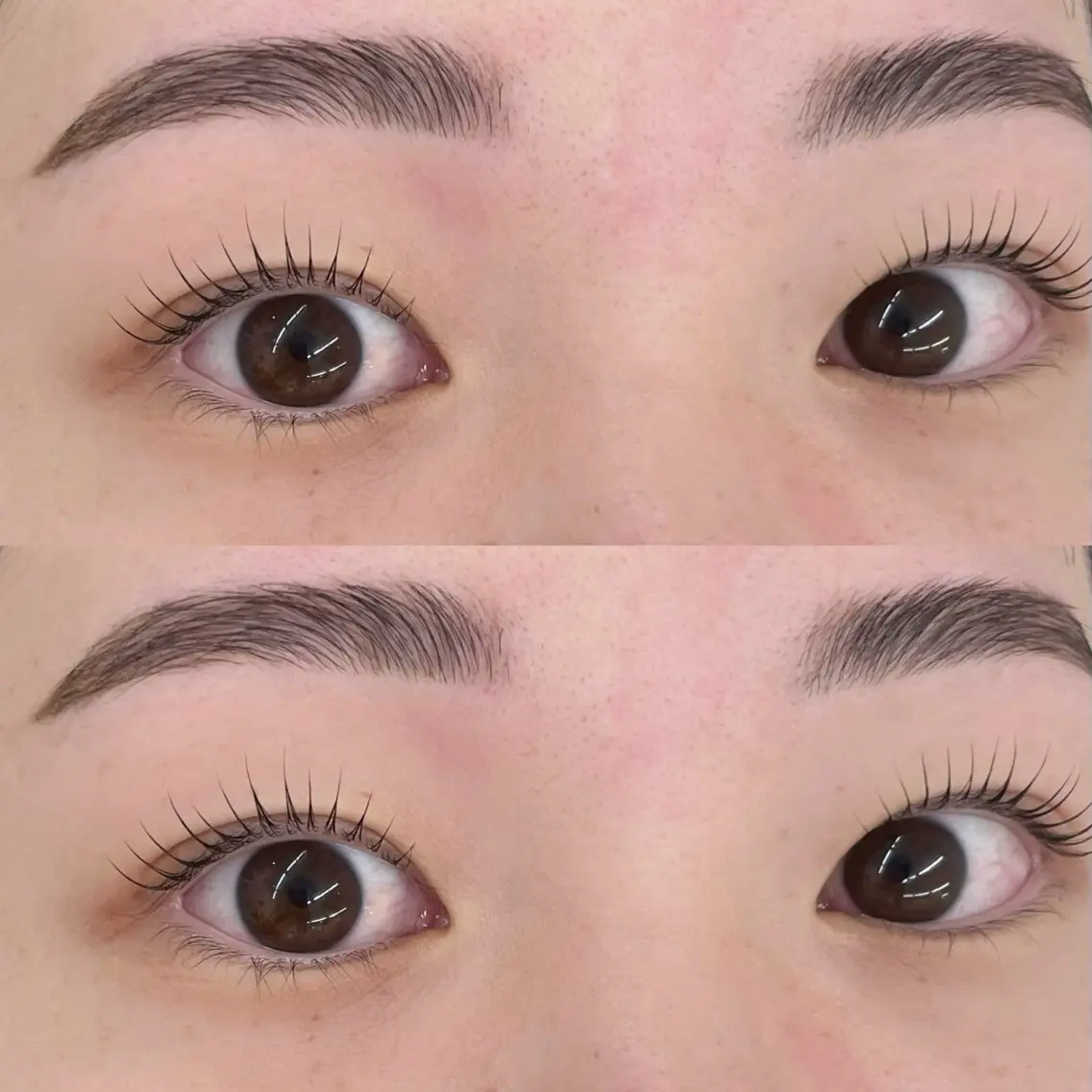 ミニモ限定💞まつげパーマ+美眉スタイリング【眉Wax】の写真