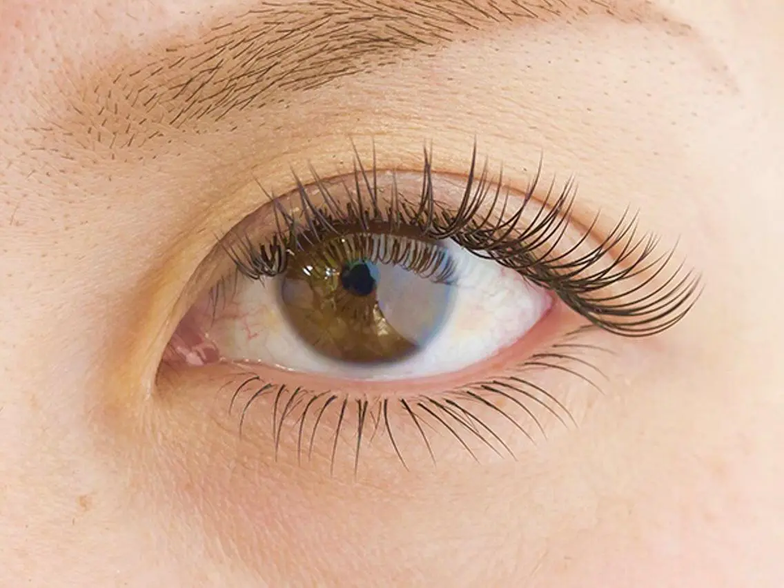 ☆single lash☆-下つけ放題-☺︎他店付け足しもok☺︎の写真