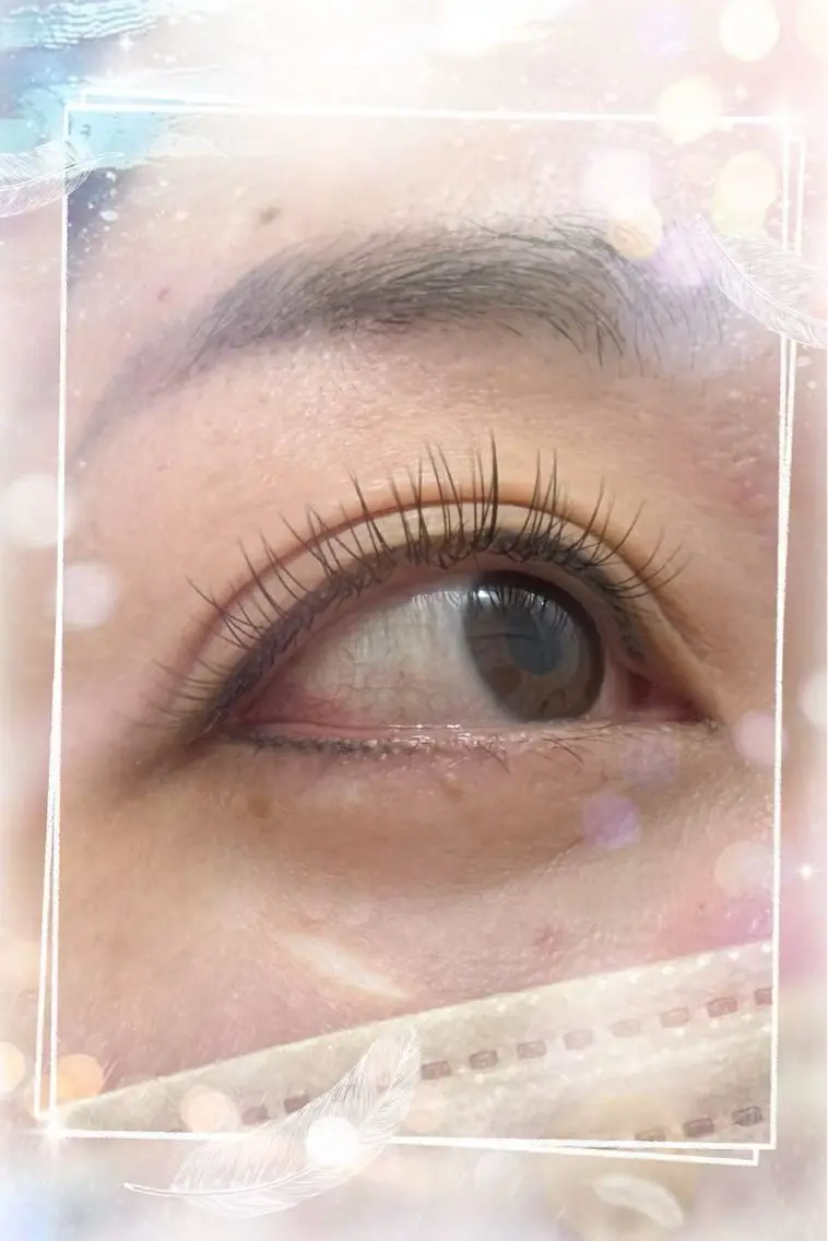 フラットラシュ160本の写真