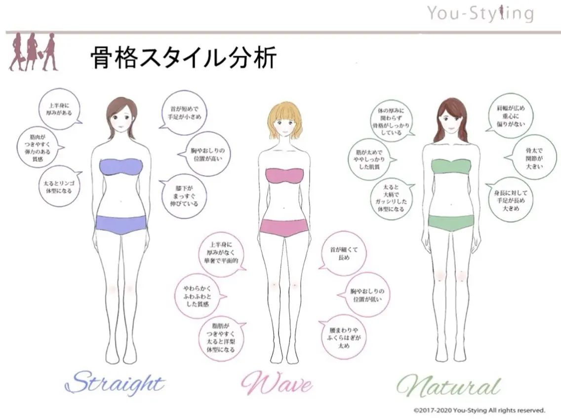 骨格スタイル分析(9タイプ)の写真