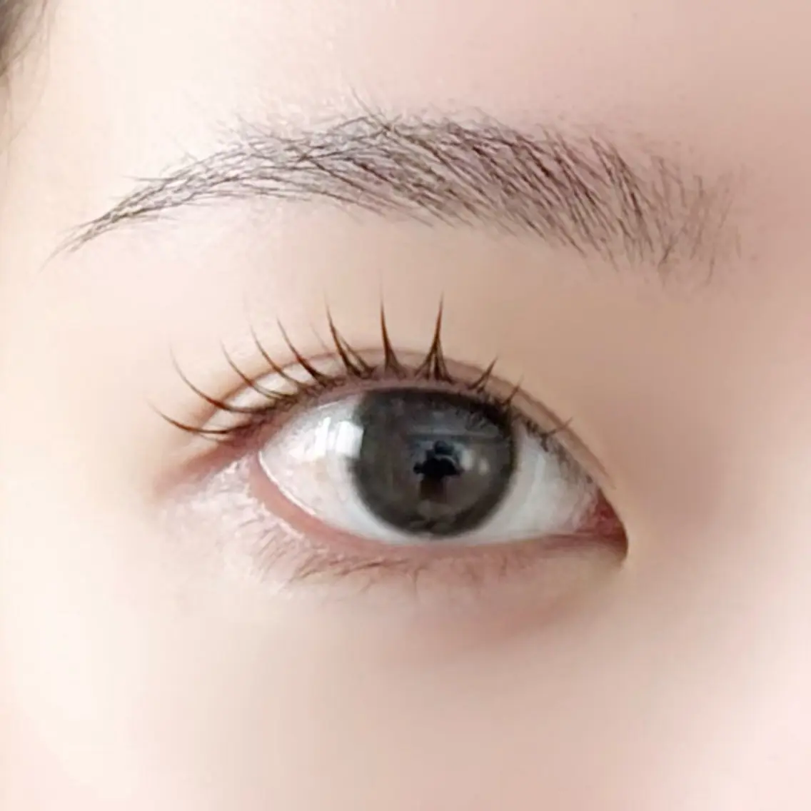 【再来】ラッシュリフト🌙アイシャンプー.トリートメント付き🫧の写真