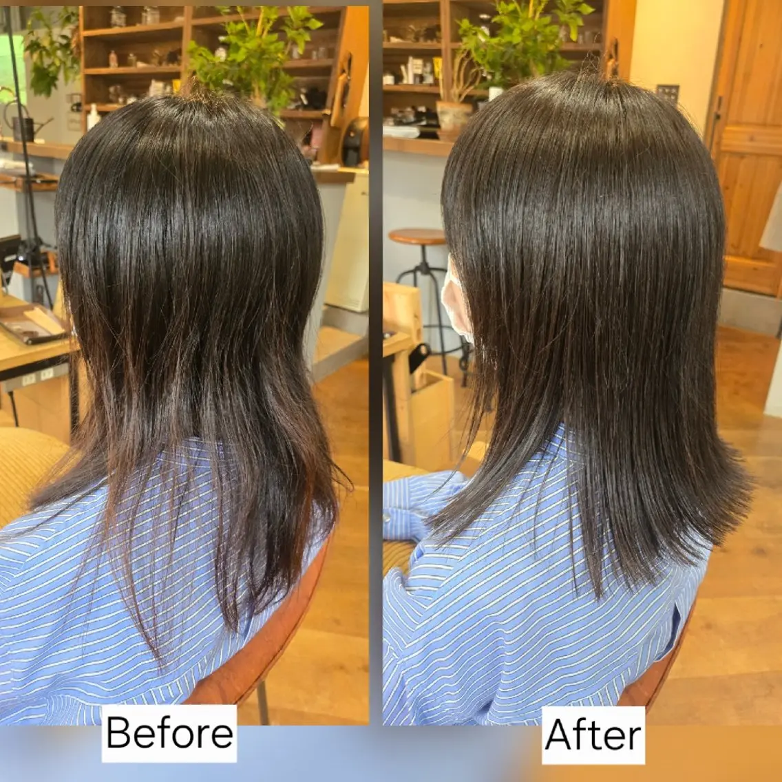 ミディアム カット ヘアカラー 銀座knoll🌿 【平日朝限定cut】のヘアスタイル