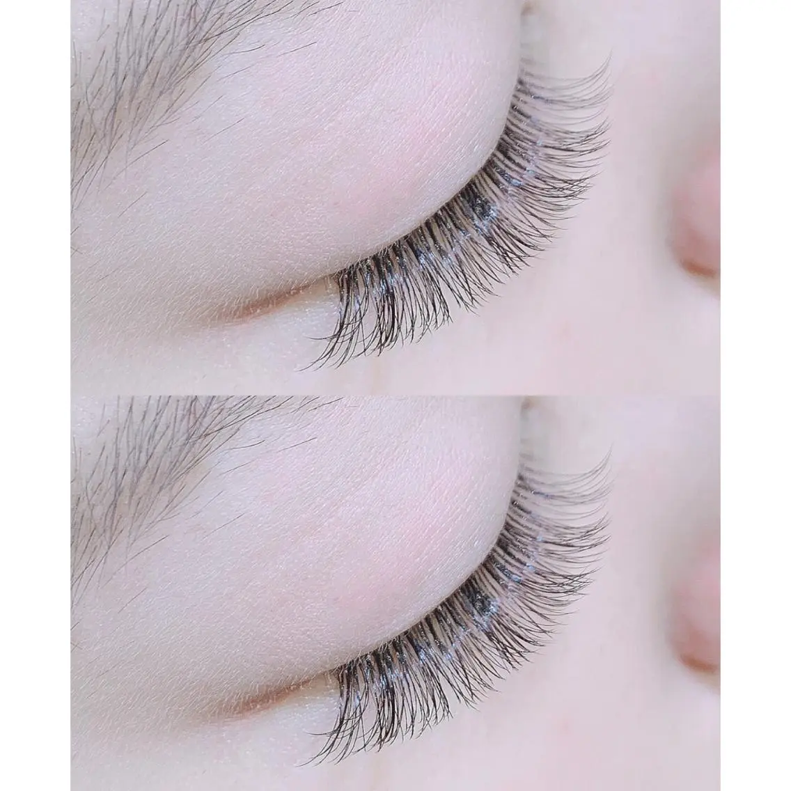 《 フラット 》100本 ♡の写真
