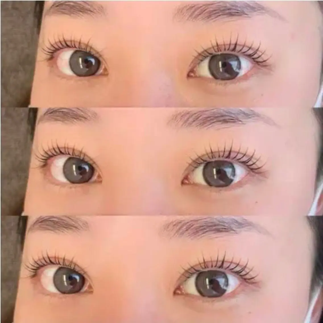 【10/10限定】🎀ラッシュリフト(コーティング仕上げつき)🎀の写真