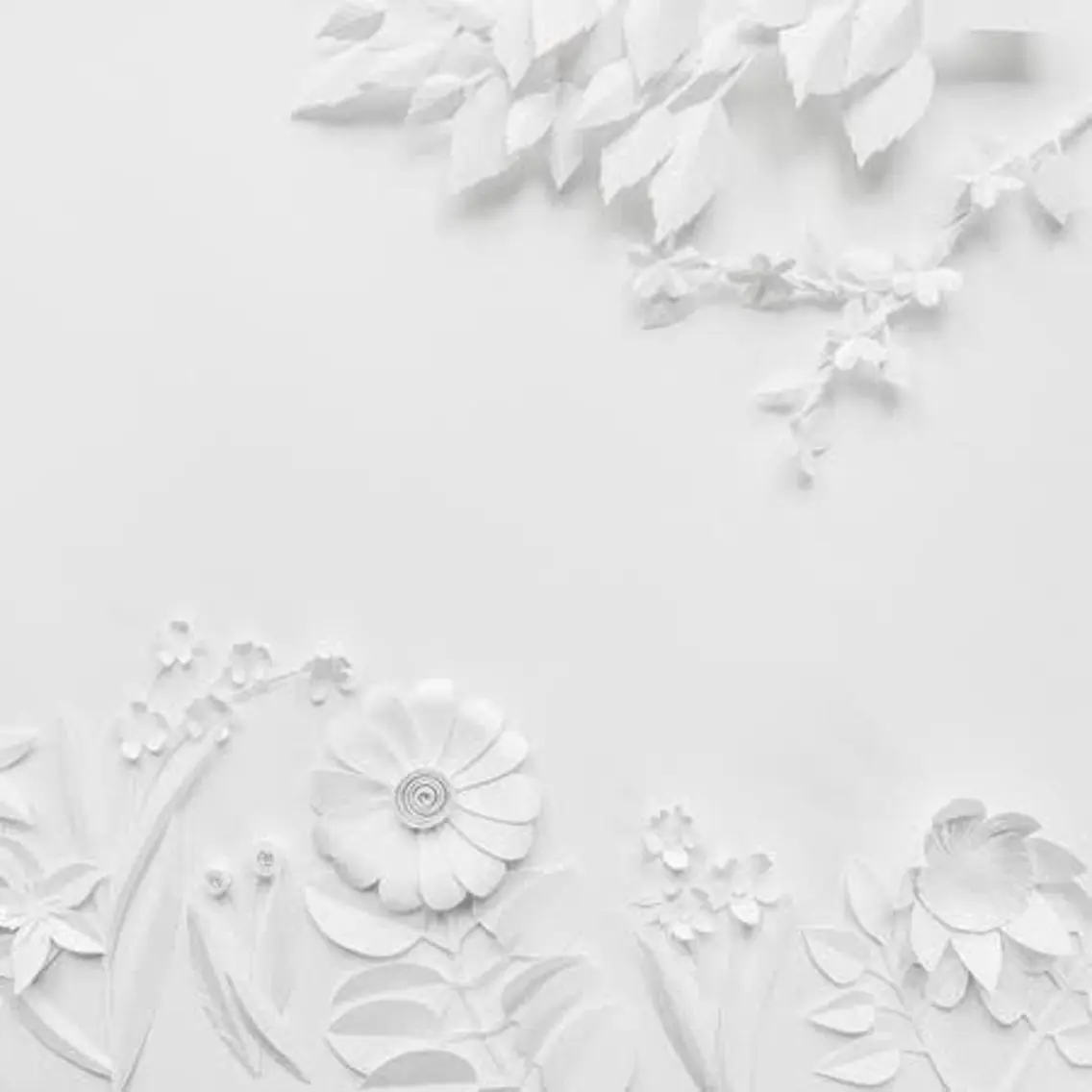 🌸 Sakura JAMのマツエク・マツパデザイン