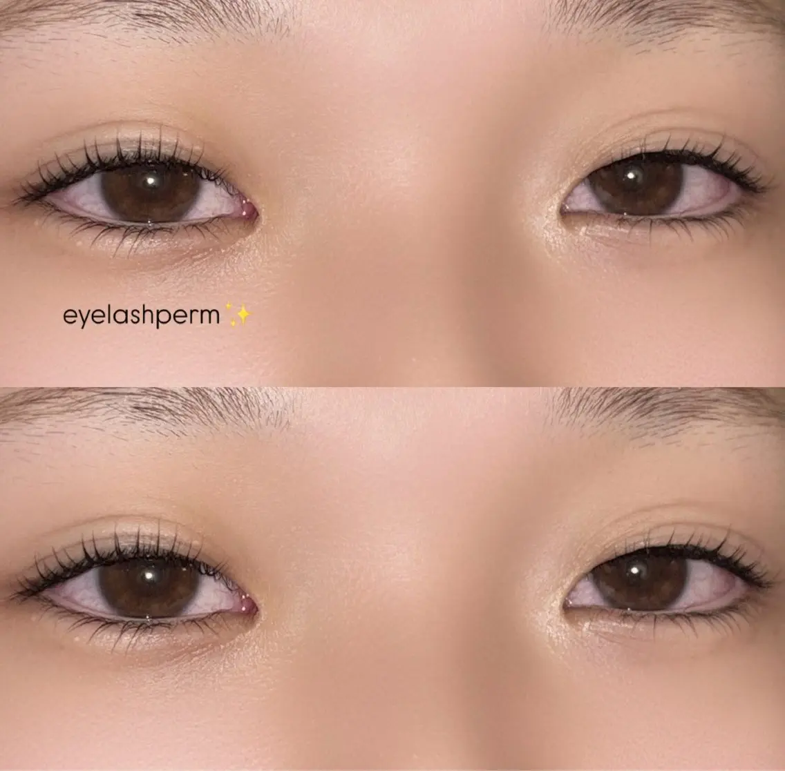 マツエク・マツパ Ayumi.pro 🐹H〈4階〉のマツエク・マツパデザイン
