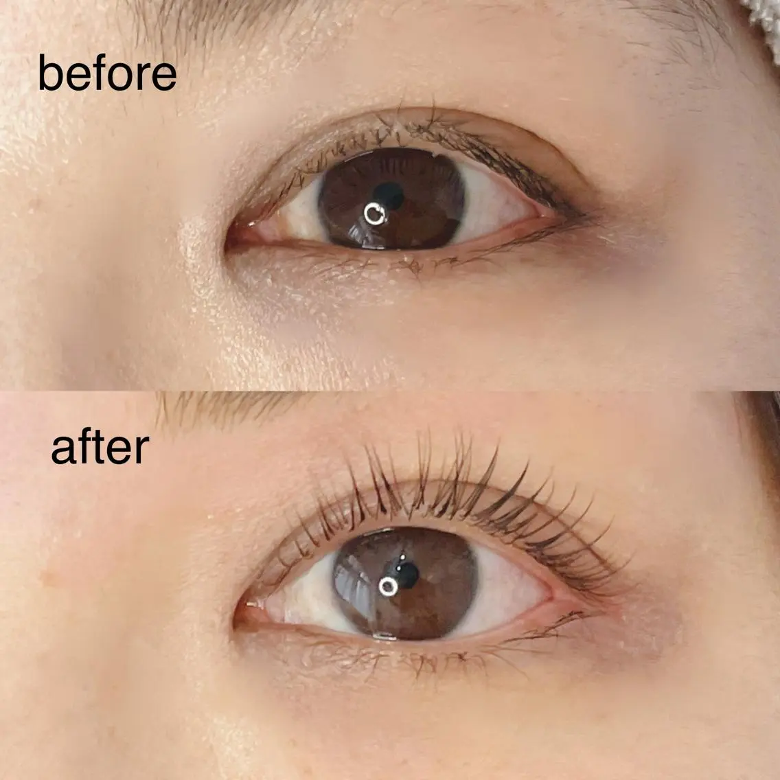 マツエク・マツパ 《eyelash ｉｉｔｅ》森のマツエク・マツパデザイン