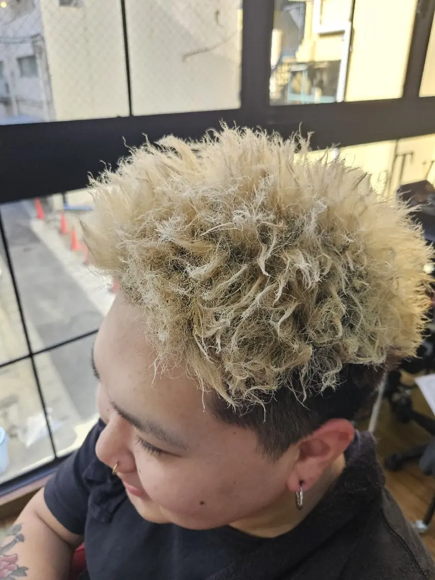 ☀️アフロツイスト+メンズカットの写真