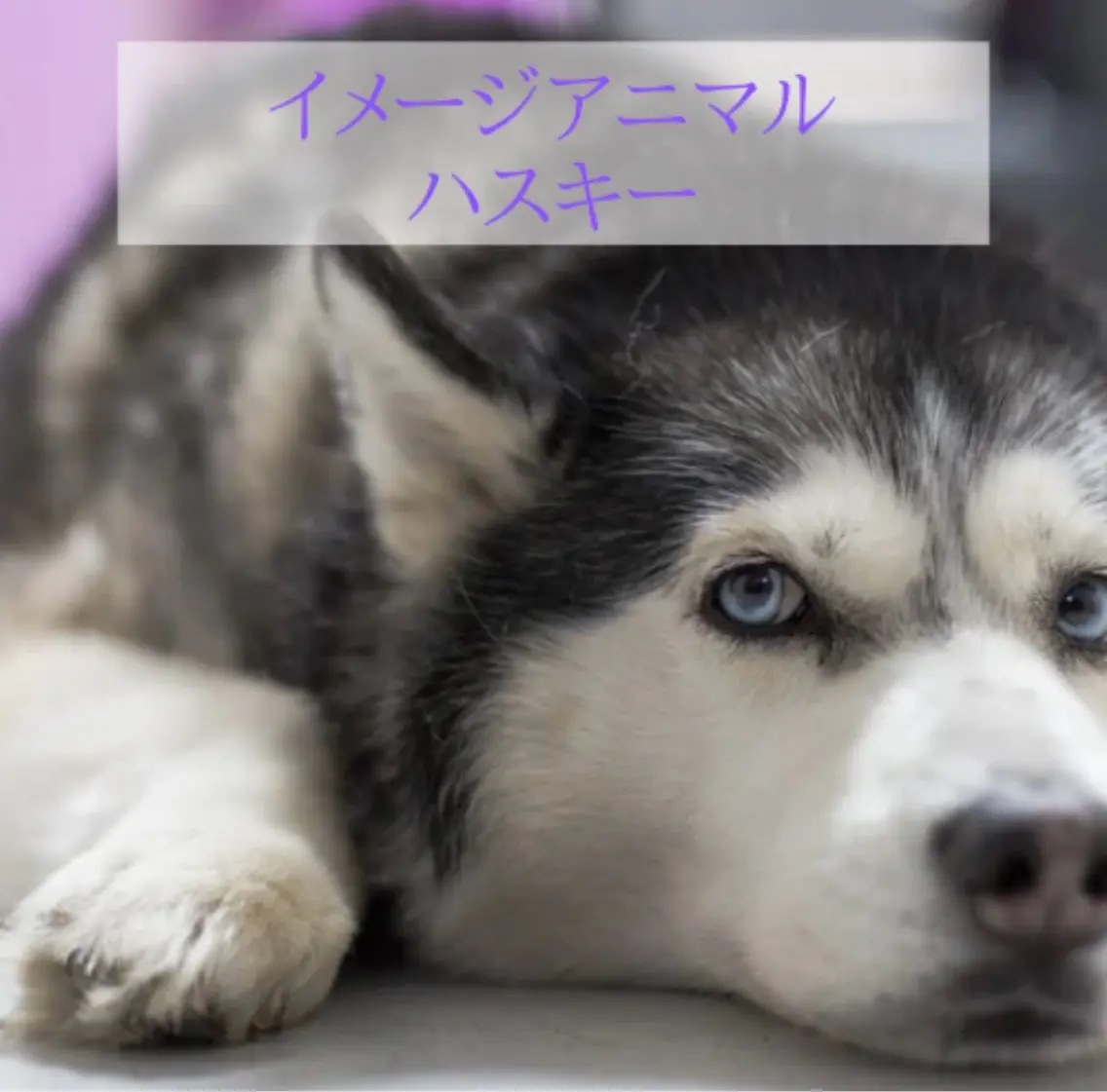 WISH リラク×エステ 須藤のエステ・リラクイメージ
