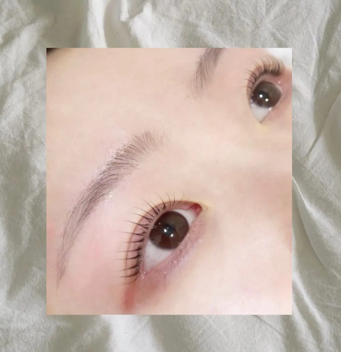 パリジェンヌ+アイブロウwax🕊️🫧の写真