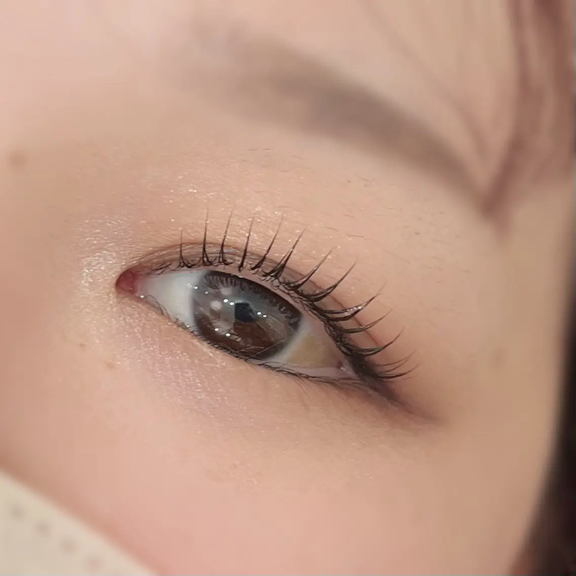 お得な限定クーポン️🩵まつ毛カールの写真
