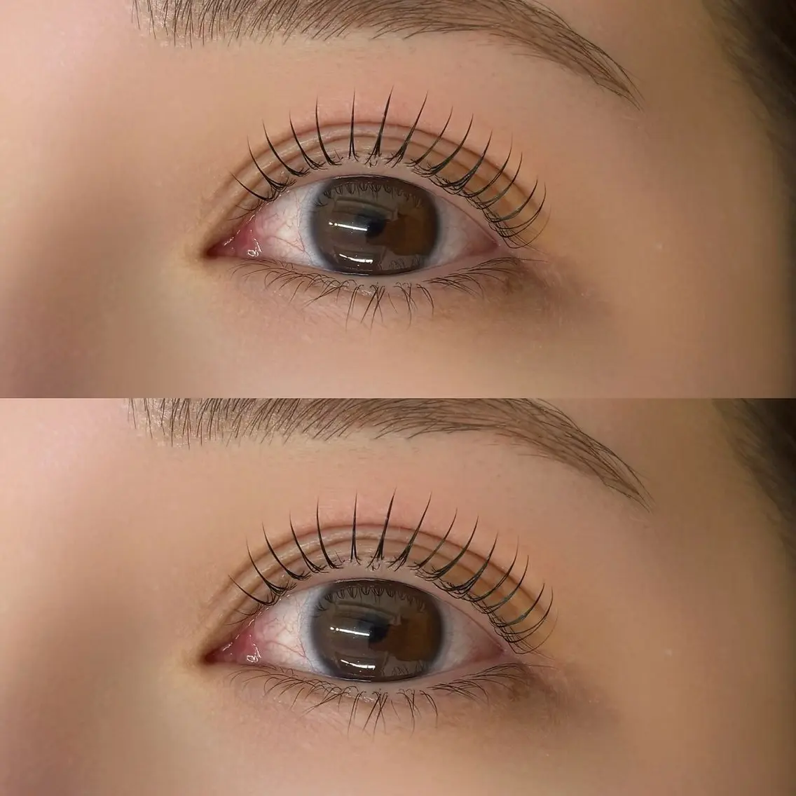 似合わせラッシュリフト🎀【アイシャンプー+TR付】の写真