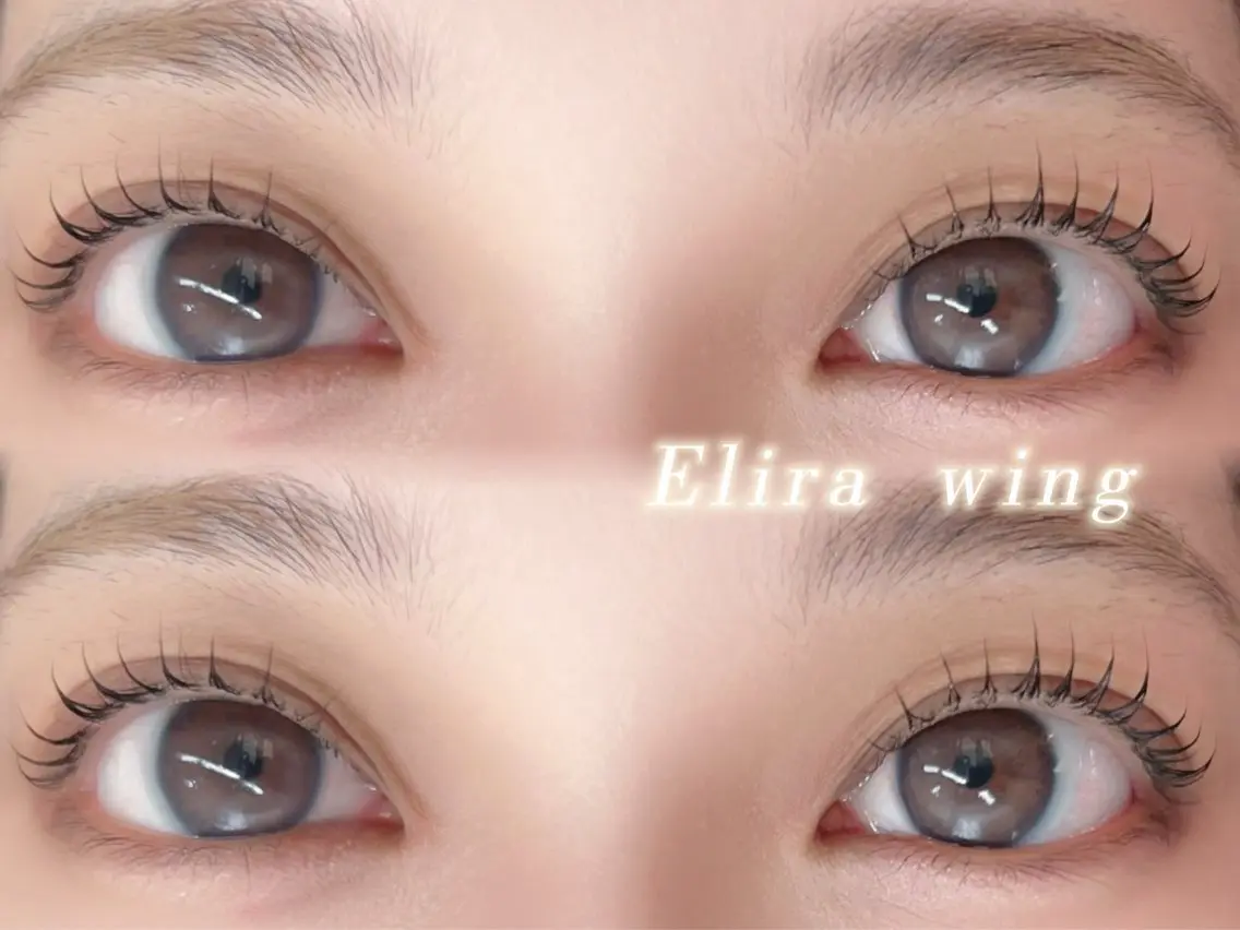 マツエク・マツパ Elira wingのマツエク・マツパデザイン