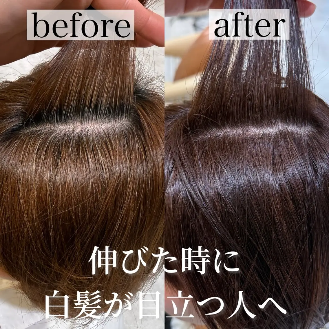 ショート カット ヘアカラー トリートメント 井上 一青 /ショート/ボブのヘアスタイル