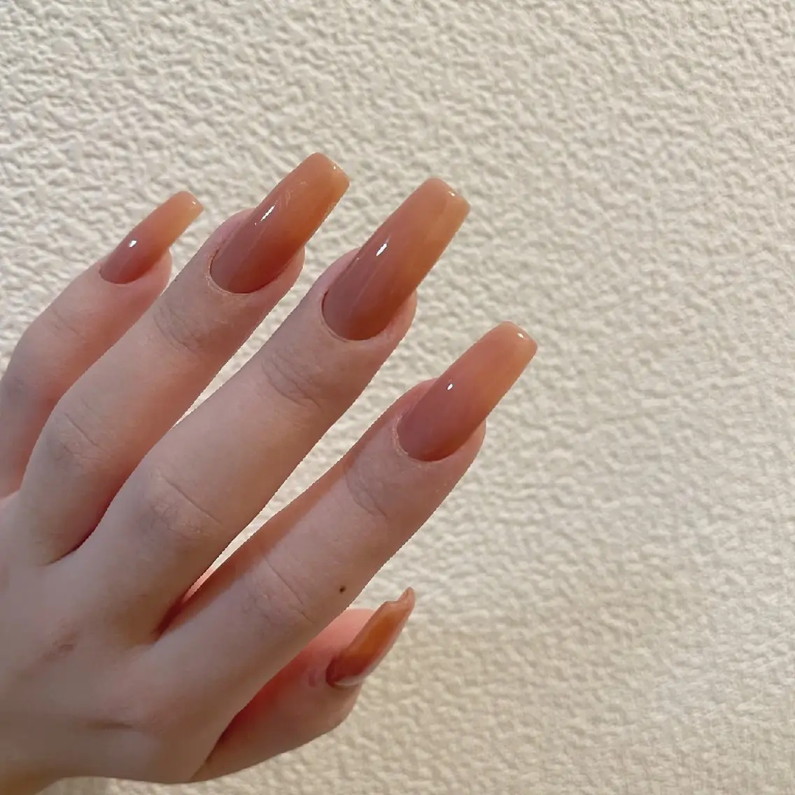 【オープン記念価格】シンプル美フォルムワンカラーの写真