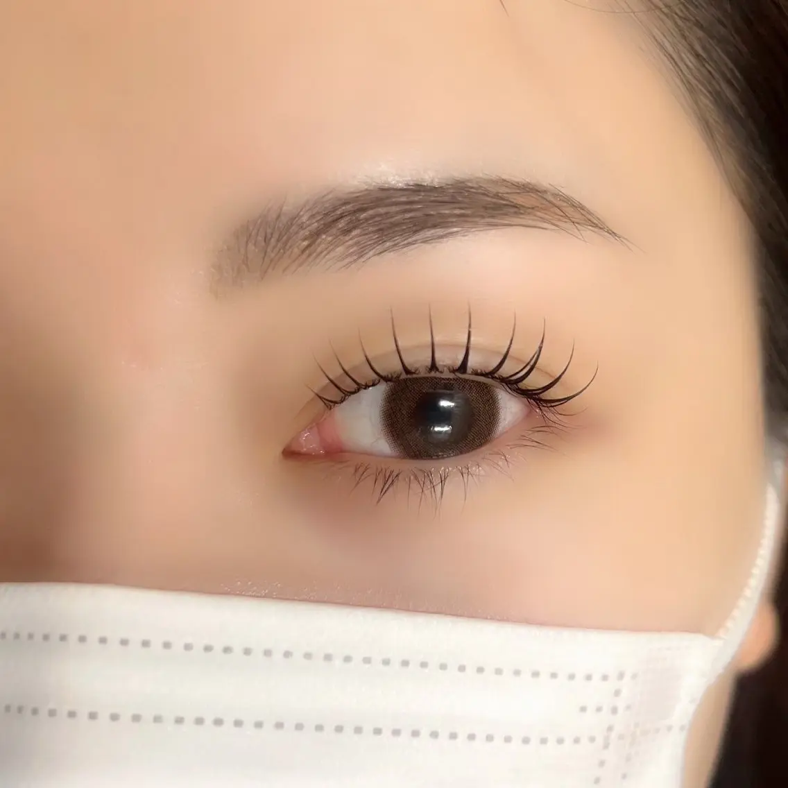 【目元トータルケア☆】🌹まつげパーマ👀+眉毛WAXスタイリング🌹の写真