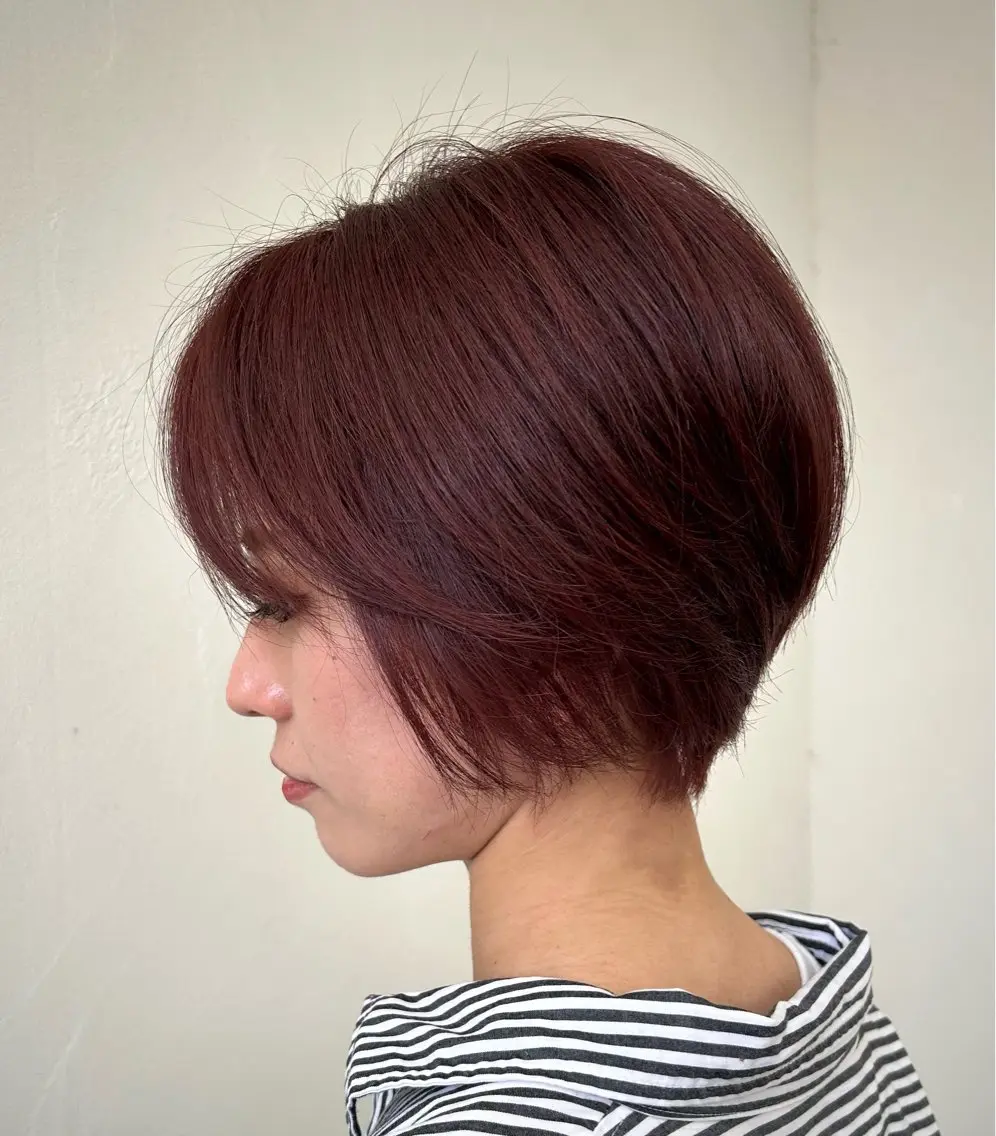 ショートカット限定‼️レディースカット✂️の写真