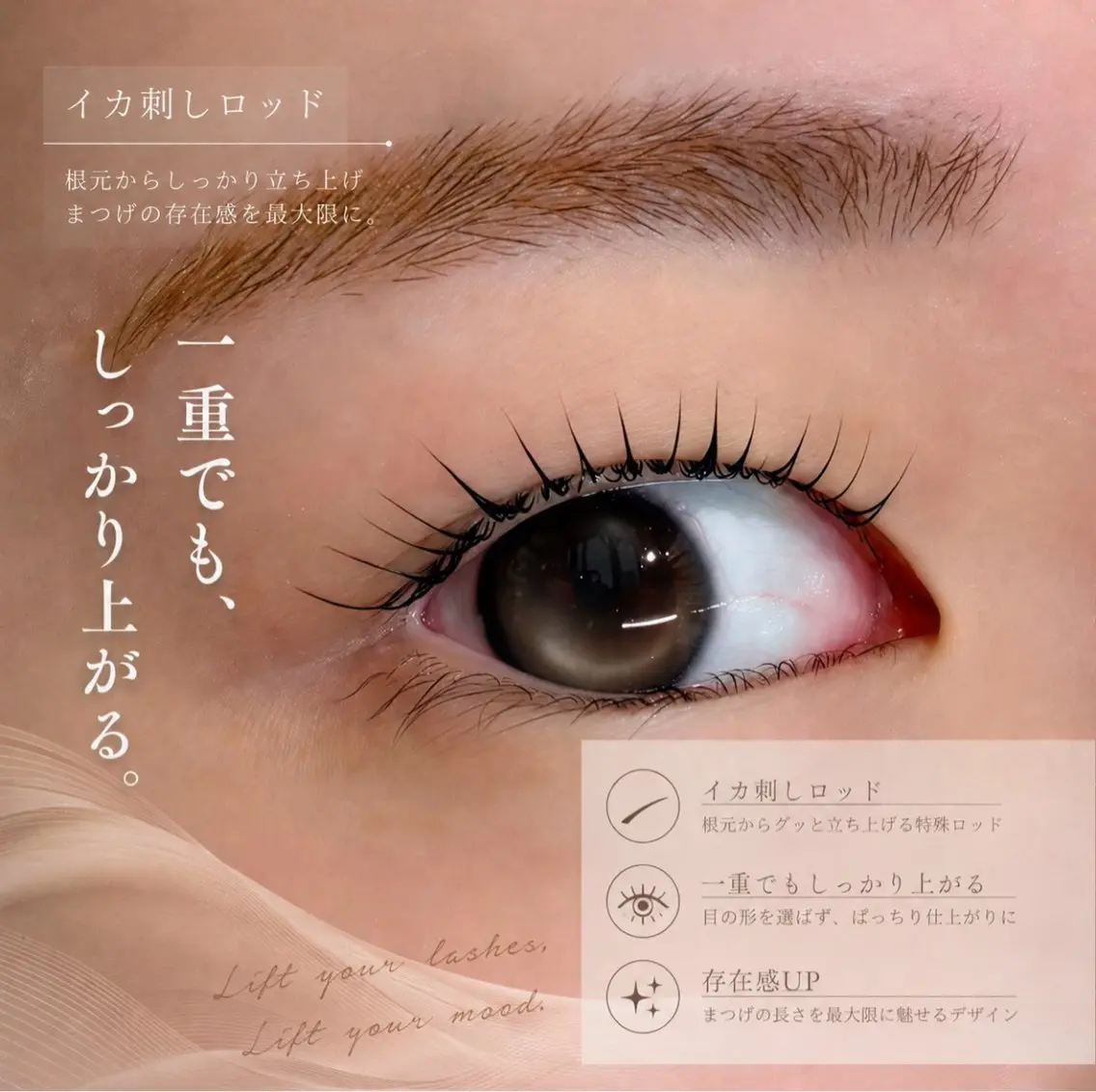 マツエク・マツパ マツパ IRIS. sarieのマツエク・マツパデザイン
