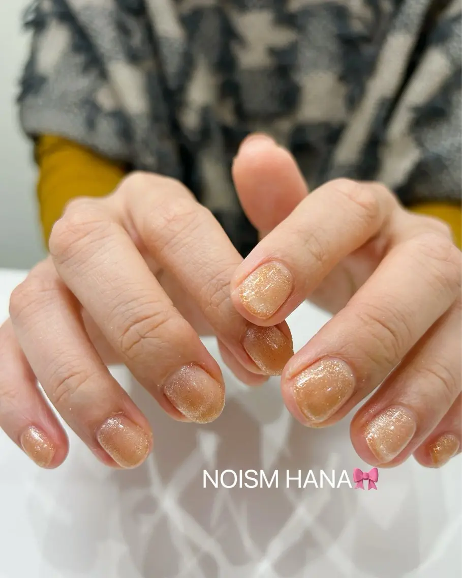 ネイル フレンチネイル グラデーション キラキラネイル 韓国ネイル マグネットネイル ハンドネイル 🎀大人nail /NOISMはな🎀のネイルデザイン