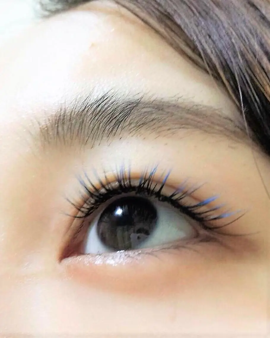 フラットラッシュ100本の写真
