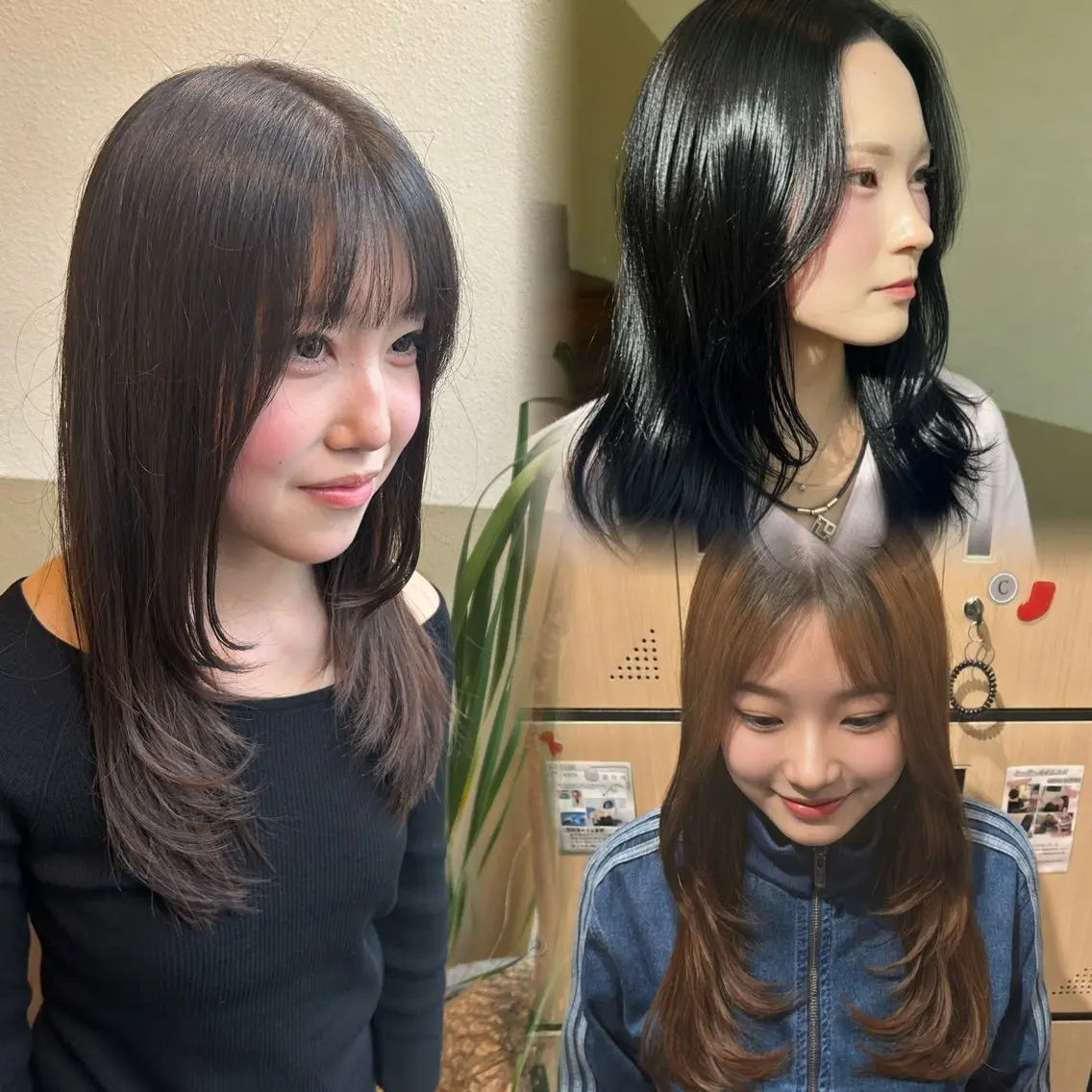 セミロング カット ヘアカラー トリートメント レイヤー/髪質改善/ ボブ/井上　陽のヘアスタイル