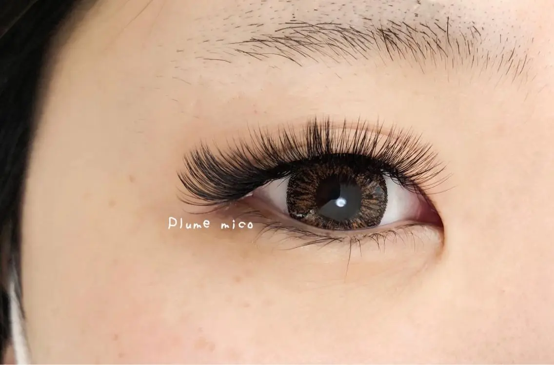マツエク・マツパ マツエク Plume micoのマツエク・マツパデザイン