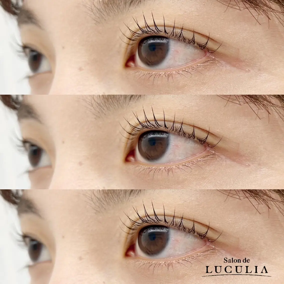 マツエク・マツパ eyelash MEGUのマツエク・マツパデザイン
