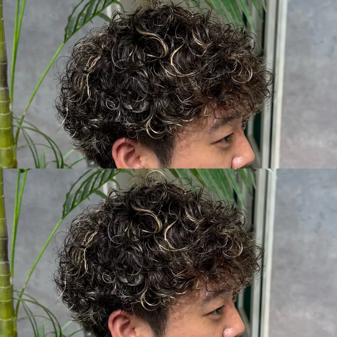 【🔥メンズ限定🔥】【いつでも使える】カット✂️&パーマ🌀+眉毛カットor 2step treatment🫧の写真