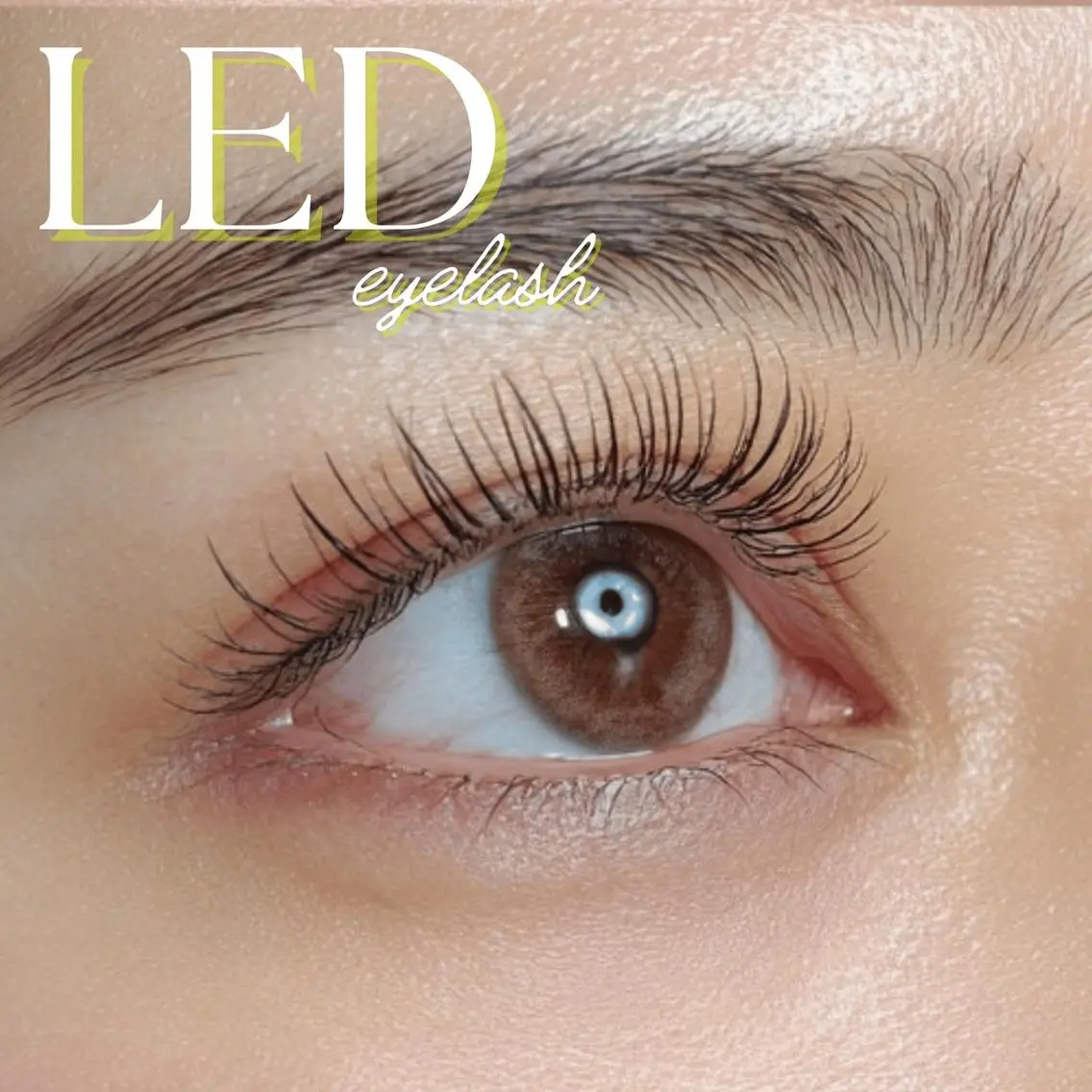 【LEDマツエク★1.5~2倍のモチ】軽やか×上品な大人まつげ(100本)の写真