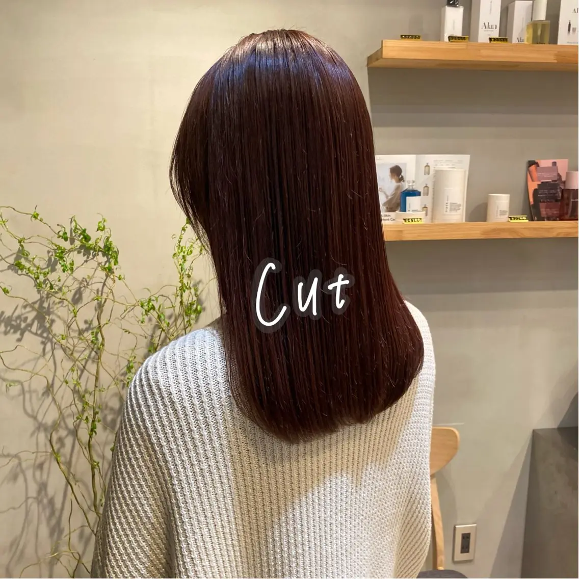 【当日予約限定🌱】カット+1stepトリートメントの写真