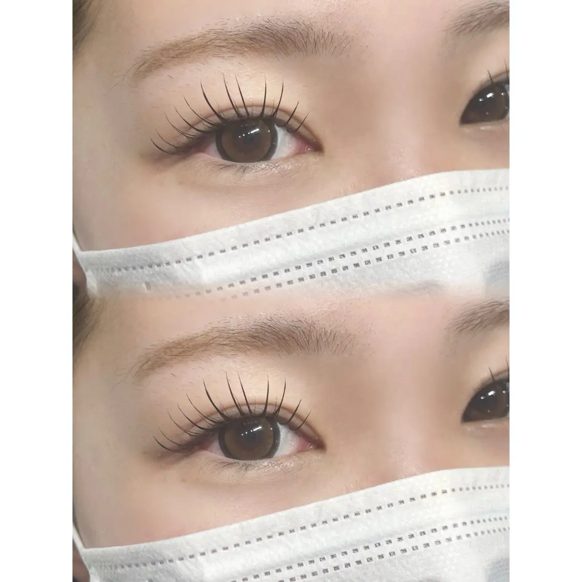 初回限定🍒パリエク （パリジェンヌ+LEDフラットラッシュ120本）¥13000→¥10000(オフ込)の写真