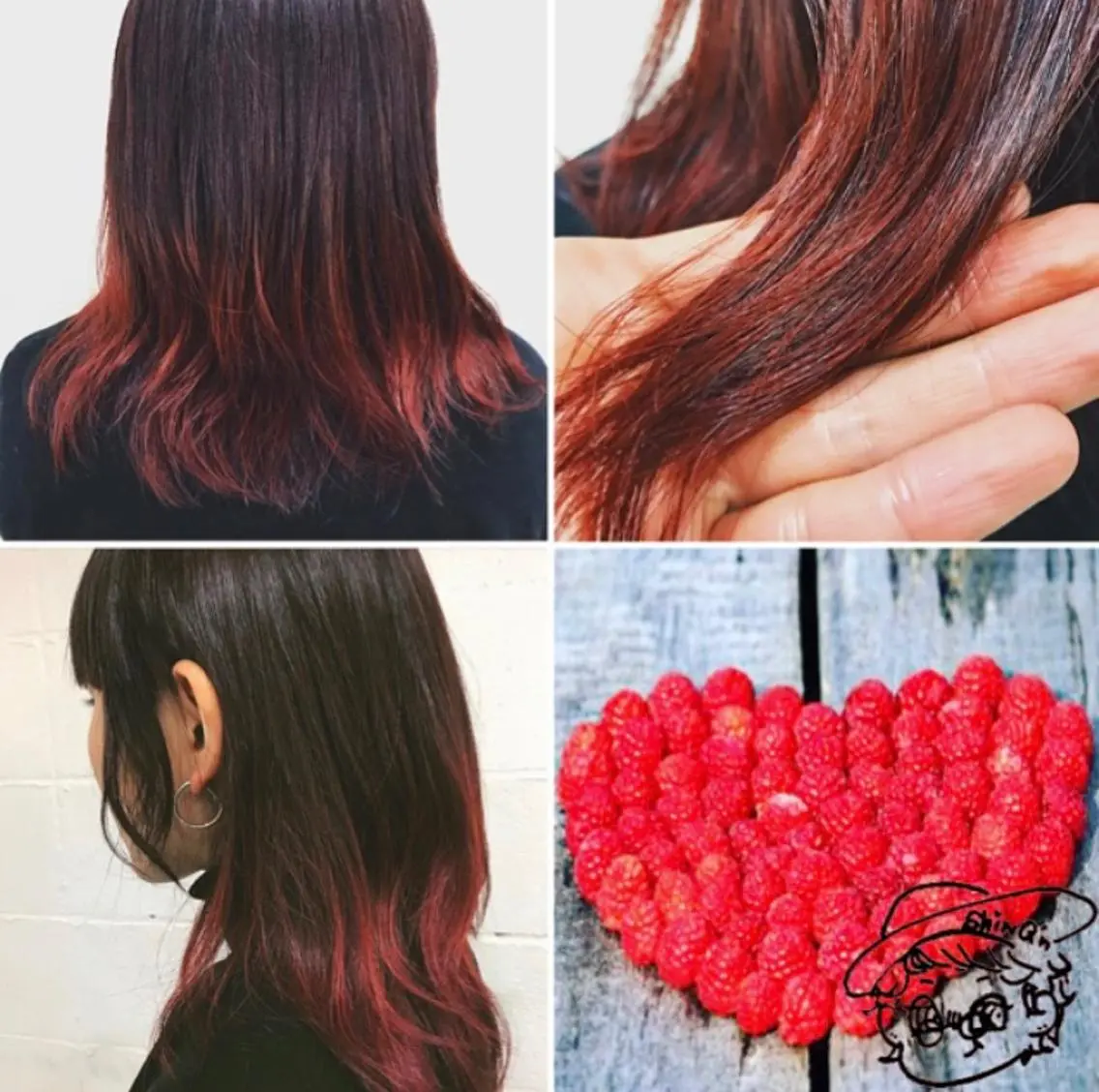 ミディアム カラー ブリーチ グラデーションカラー レッドカラー バイオレットカラー ヘアカラー トリートメント ✨️眉毛、派手髪、 ハイトーンShinの眉毛・アイブロウイメージ