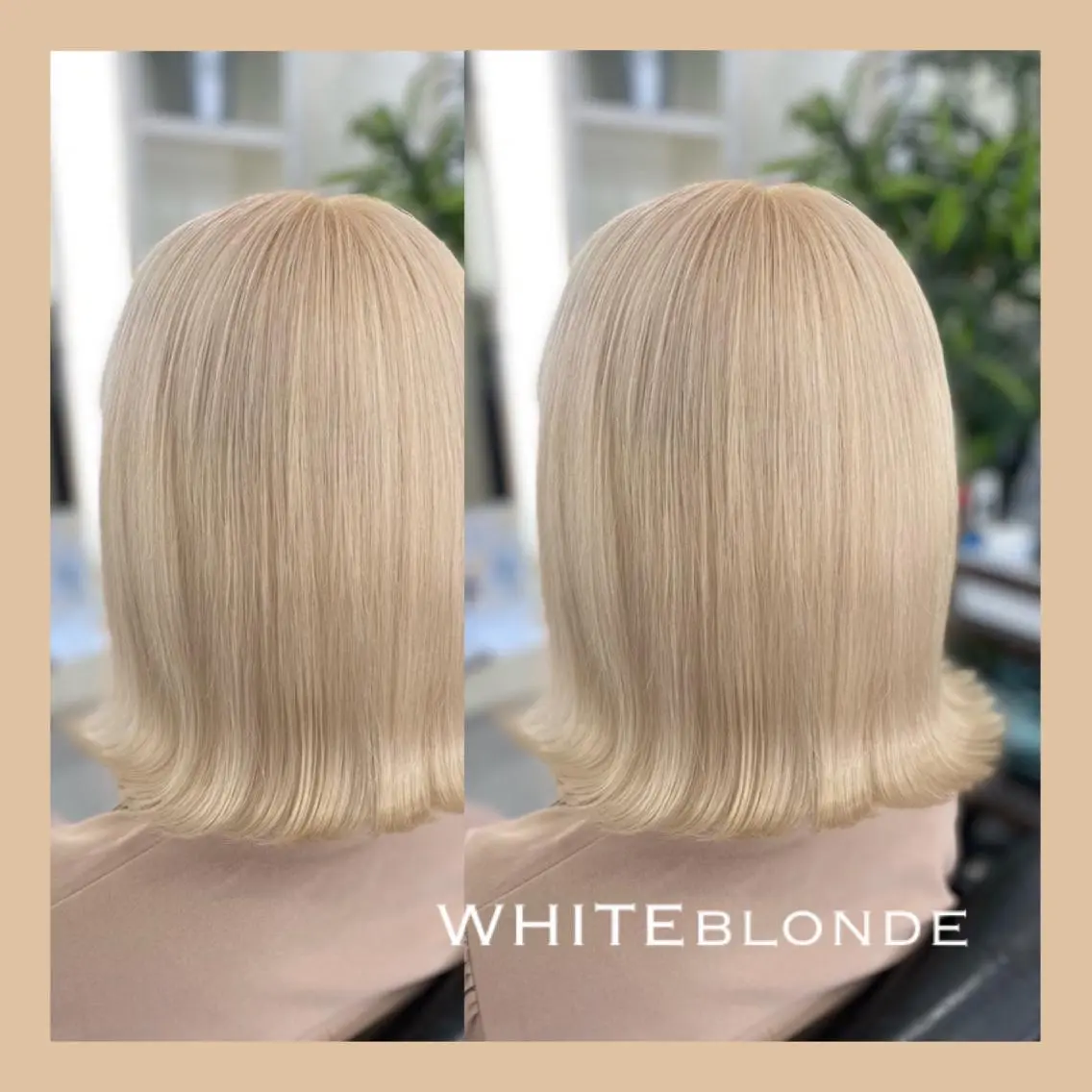 ミディアム カラー ヘアアレンジ ブリーチ ヘアカラー 🦋 SHION 🦋のヘアスタイル