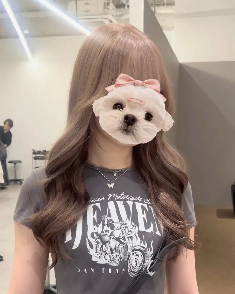 ミディアム カラー パーマ アッシュ アッシュグレー アッシュグレージュ ベージュカラー ブリーチ カット ヘアカラー 縮毛矯正 トリートメント akira｜ 透明感ベージュ｜梅田のヘアスタイル