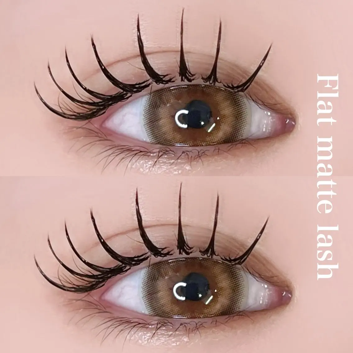 【🩷Flat matte lash『120本』🩷】の写真