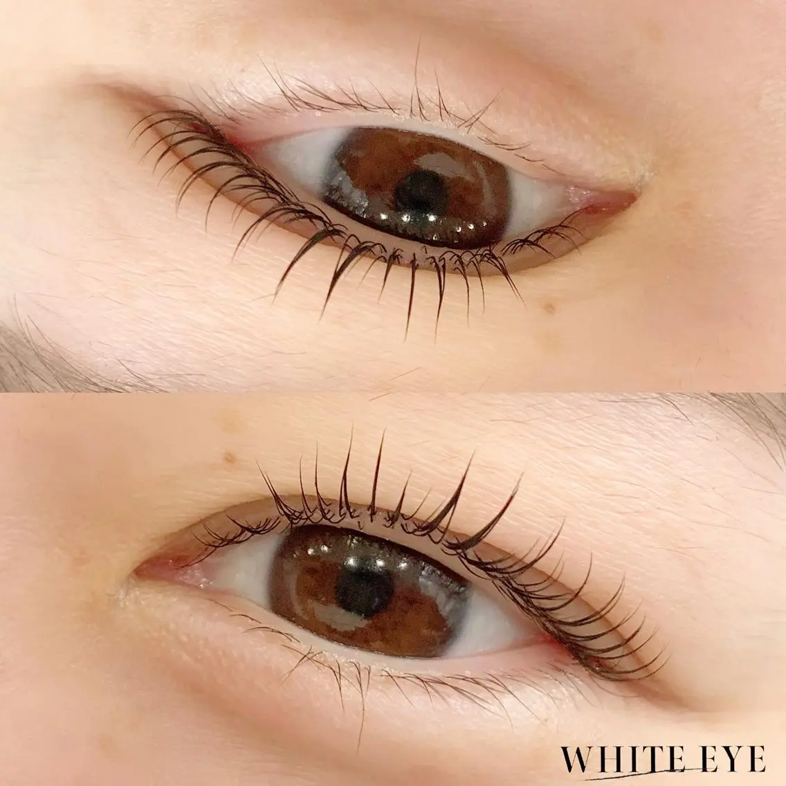マツエク・マツパ マツパ WHITE EYE 🤍Mayukaの眉毛・アイブロウイメージ