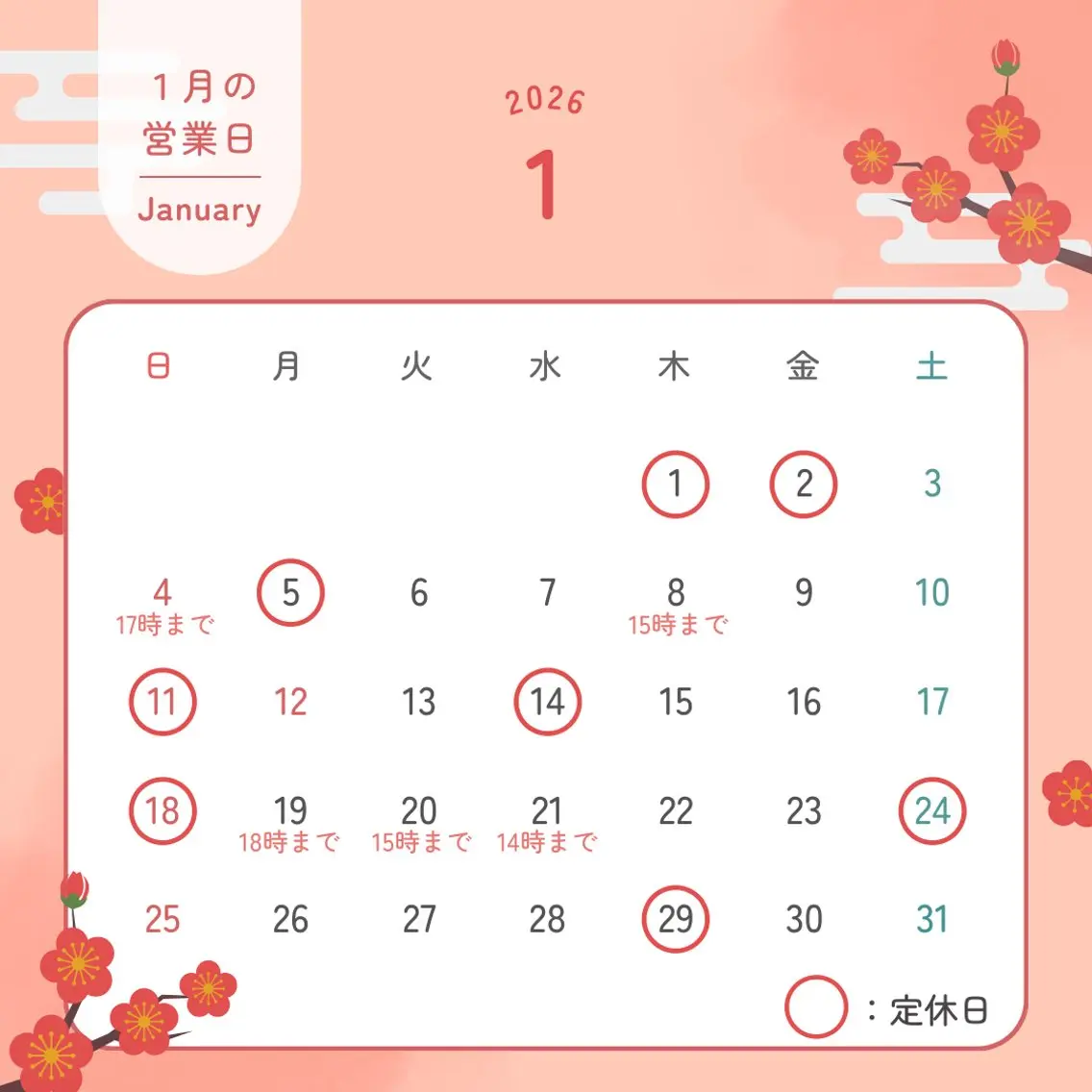 その他 セルフホワイトニング RipiQaのその他イメージ