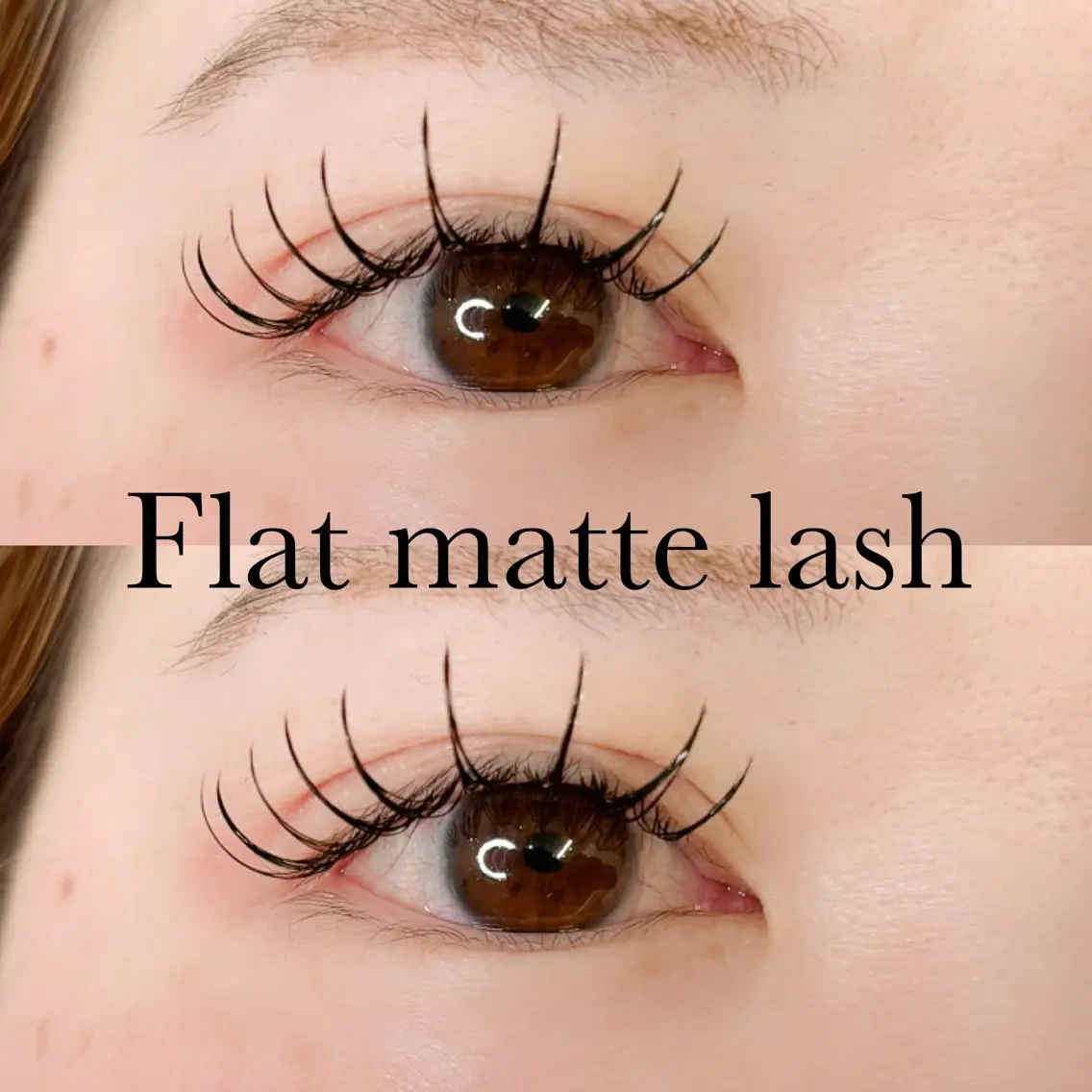 【Flat matte lash💫】フラットマットラッシュ100本の写真
