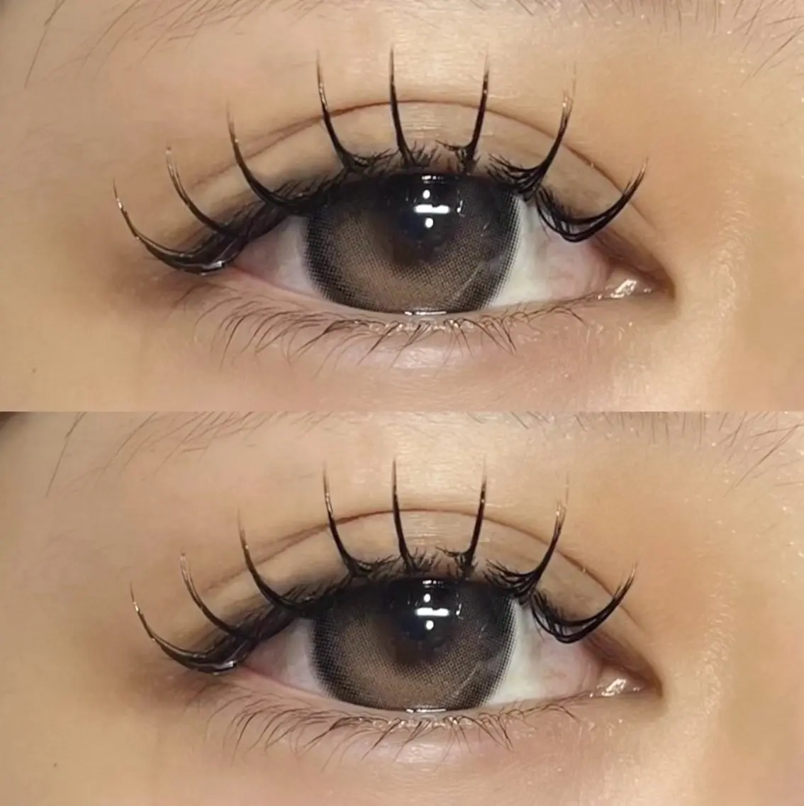 マツエク/ Mink or Sable 120本+仕上げコーティング付き🦋💜の写真