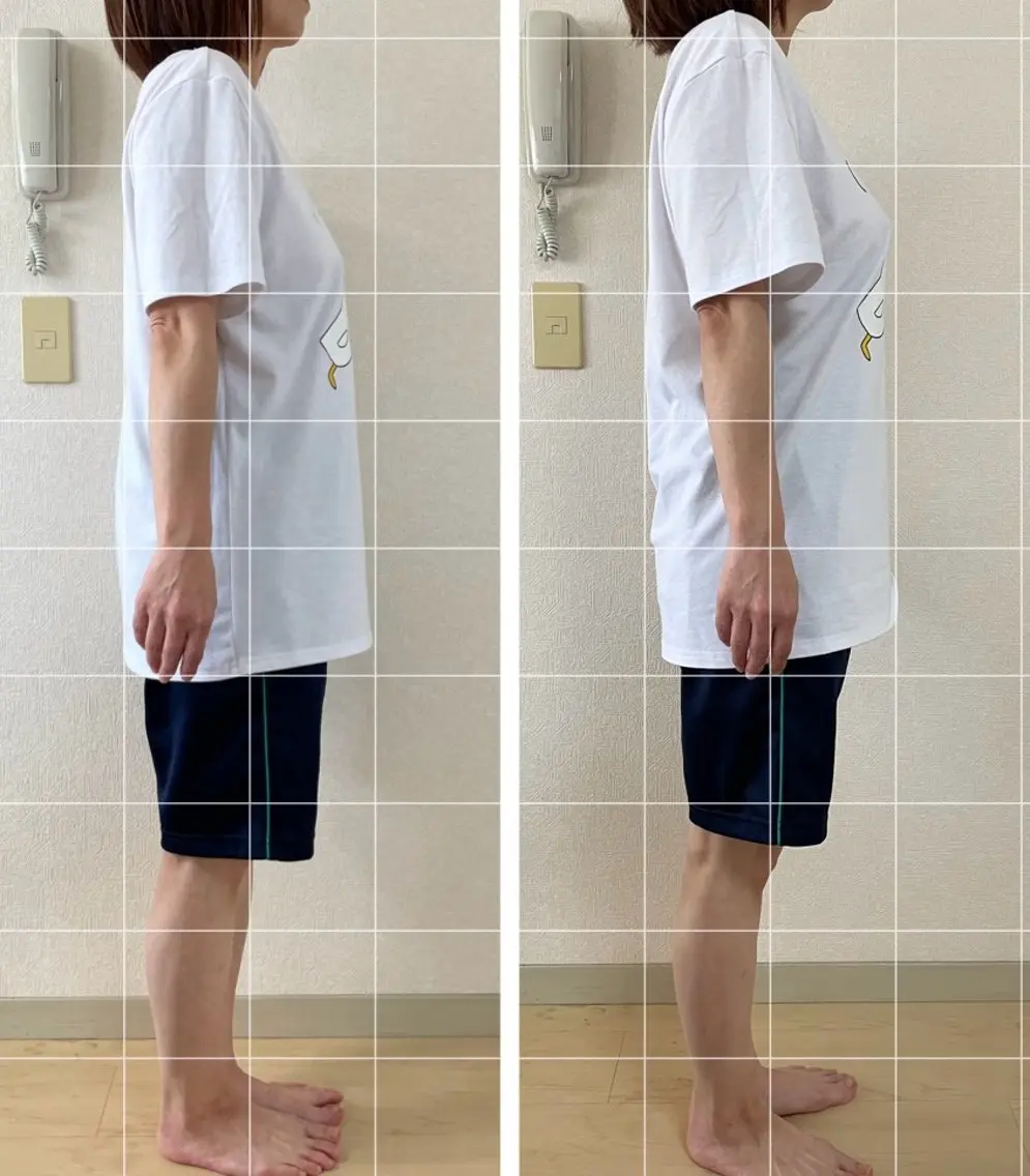 めぐらせの 森のその他イメージ