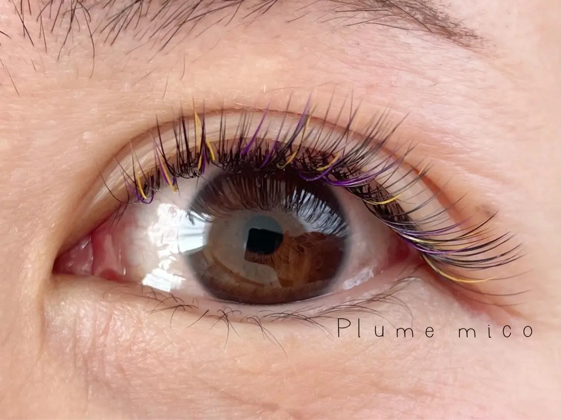 マツエク・マツパ マツエク Plume micoのマツエク・マツパデザイン