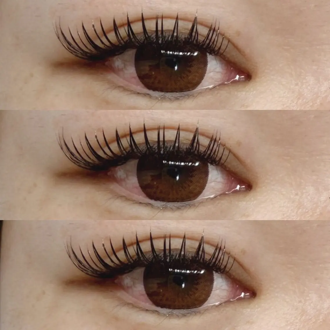 マツエク・マツパ マツエク Eyelash Hauoliの眉毛・アイブロウイメージ