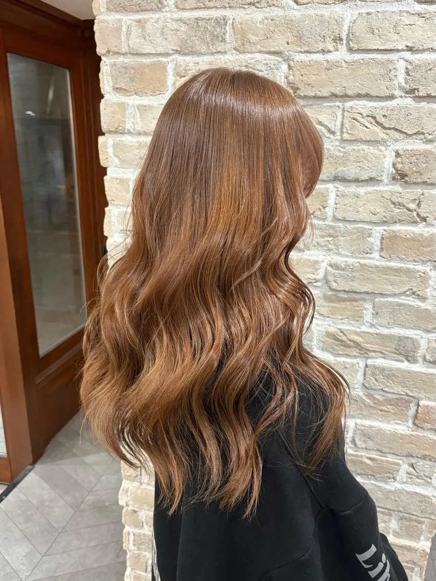 ロング カラー 堀 のえかのヘアスタイル