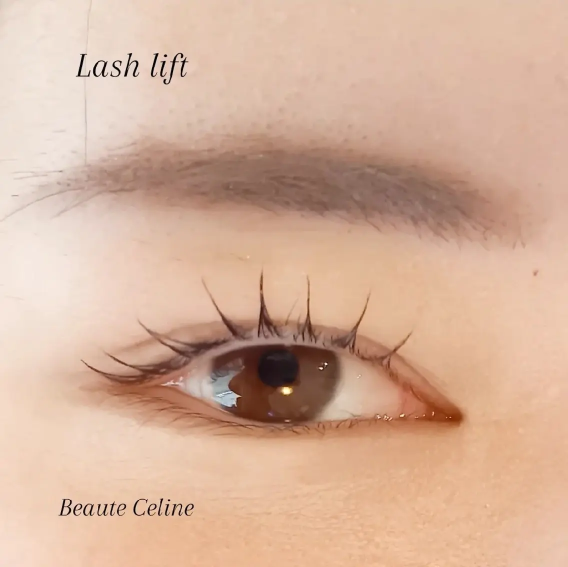マツエク・マツパ マツパ LED✨beaute Celine🌛🌹のマツエク・マツパデザイン
