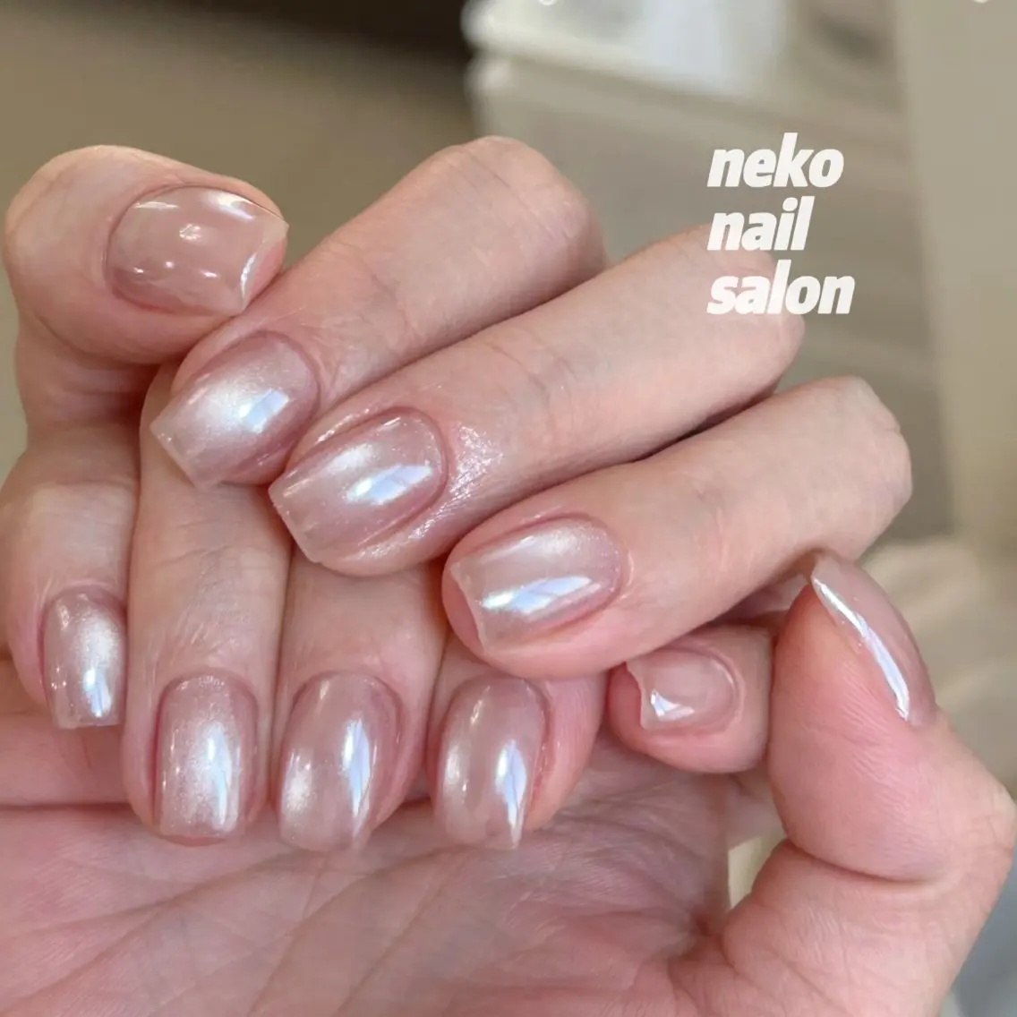 ネイル オーロラネイル マグネットネイル neko nailのネイルデザイン