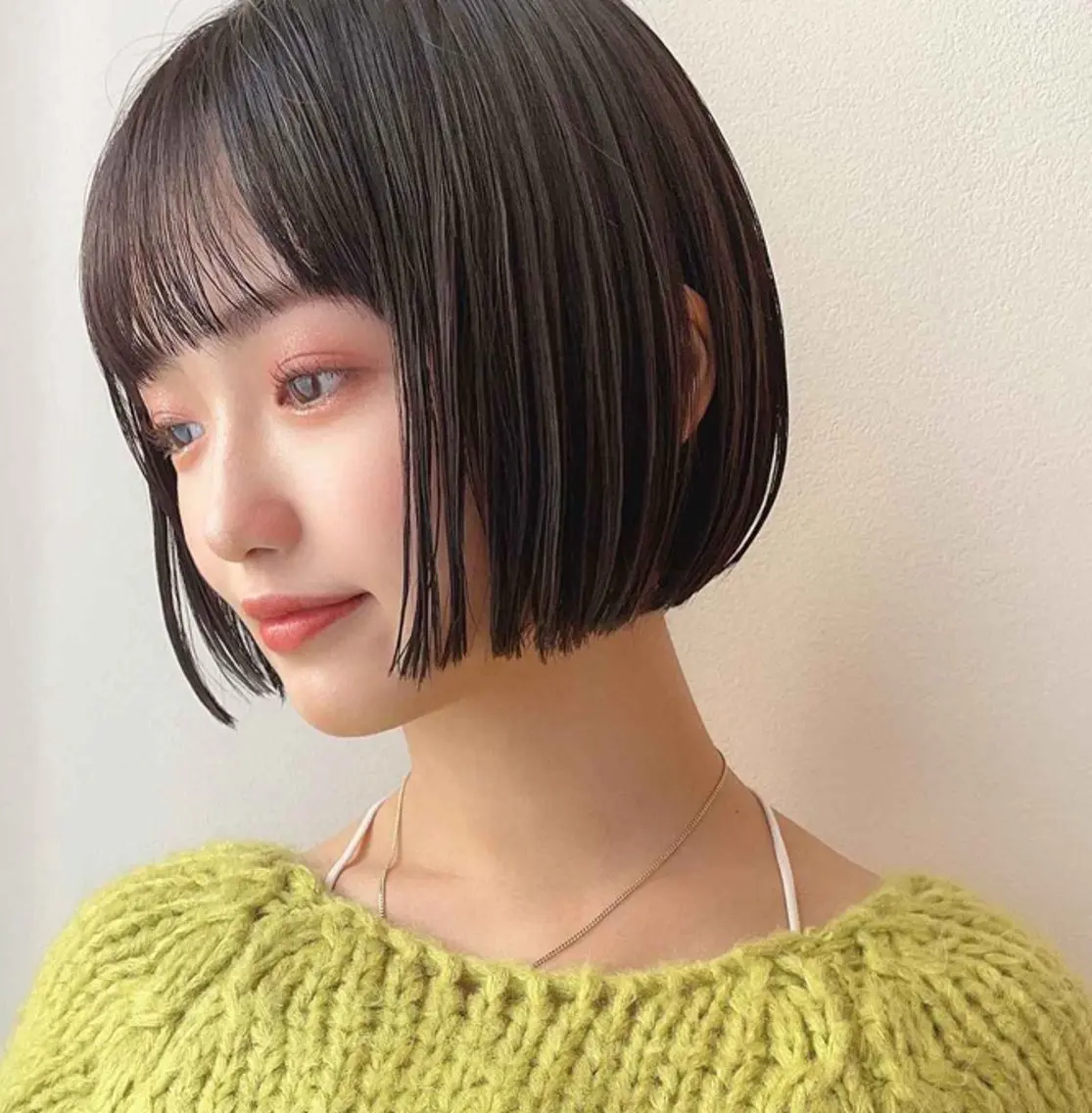 アディクシーカラー（全体カラー）の写真