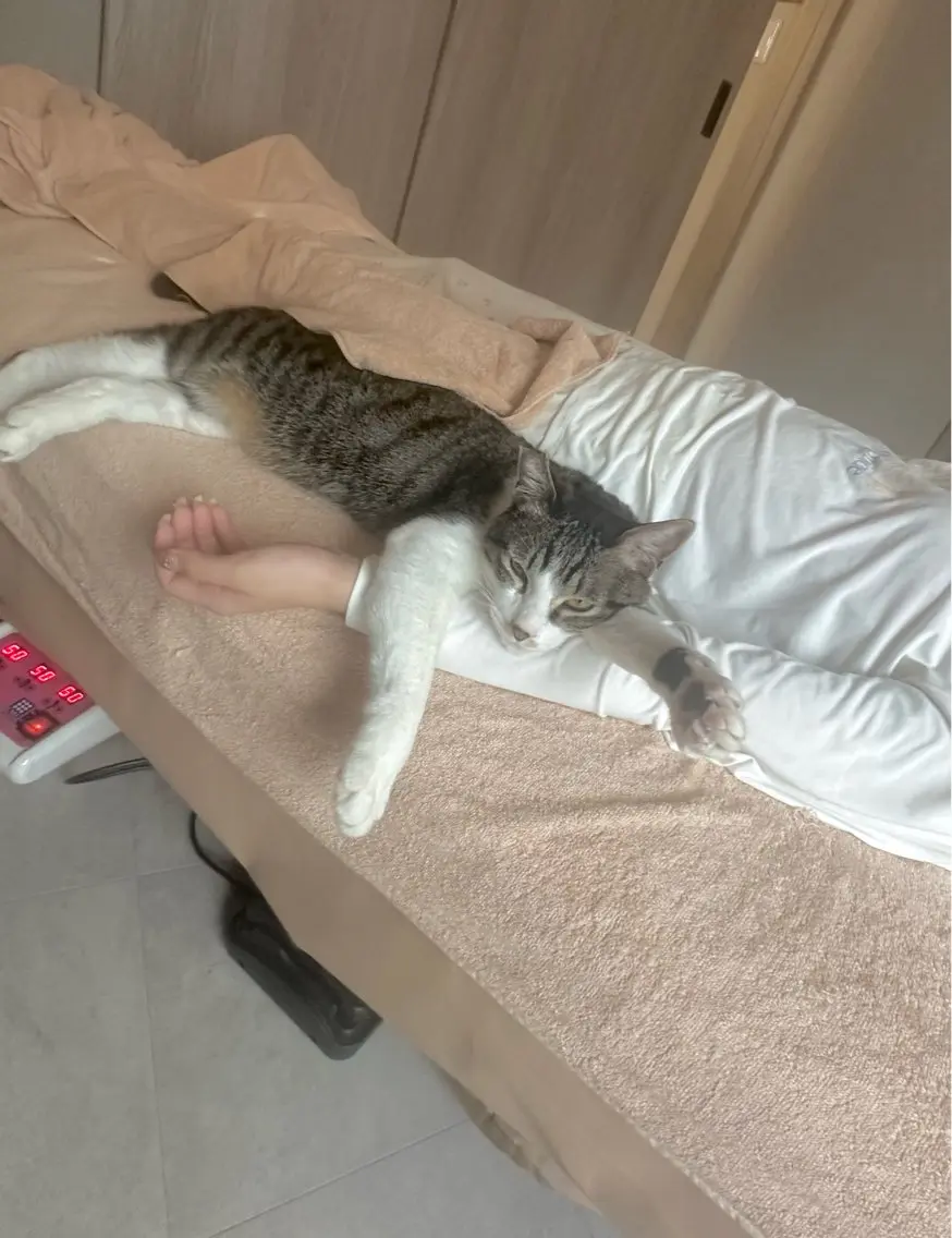 猫がいるマッサージ屋 🐈salonねこのエステ・リラクイメージ
