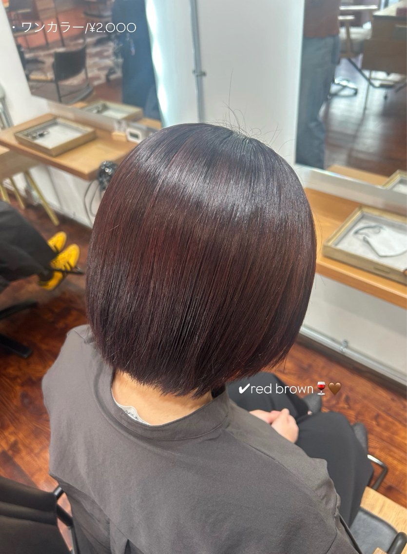 ショート カラー ヘアカラー 佐藤光華/JANU /カラーモデルのヘアスタイル