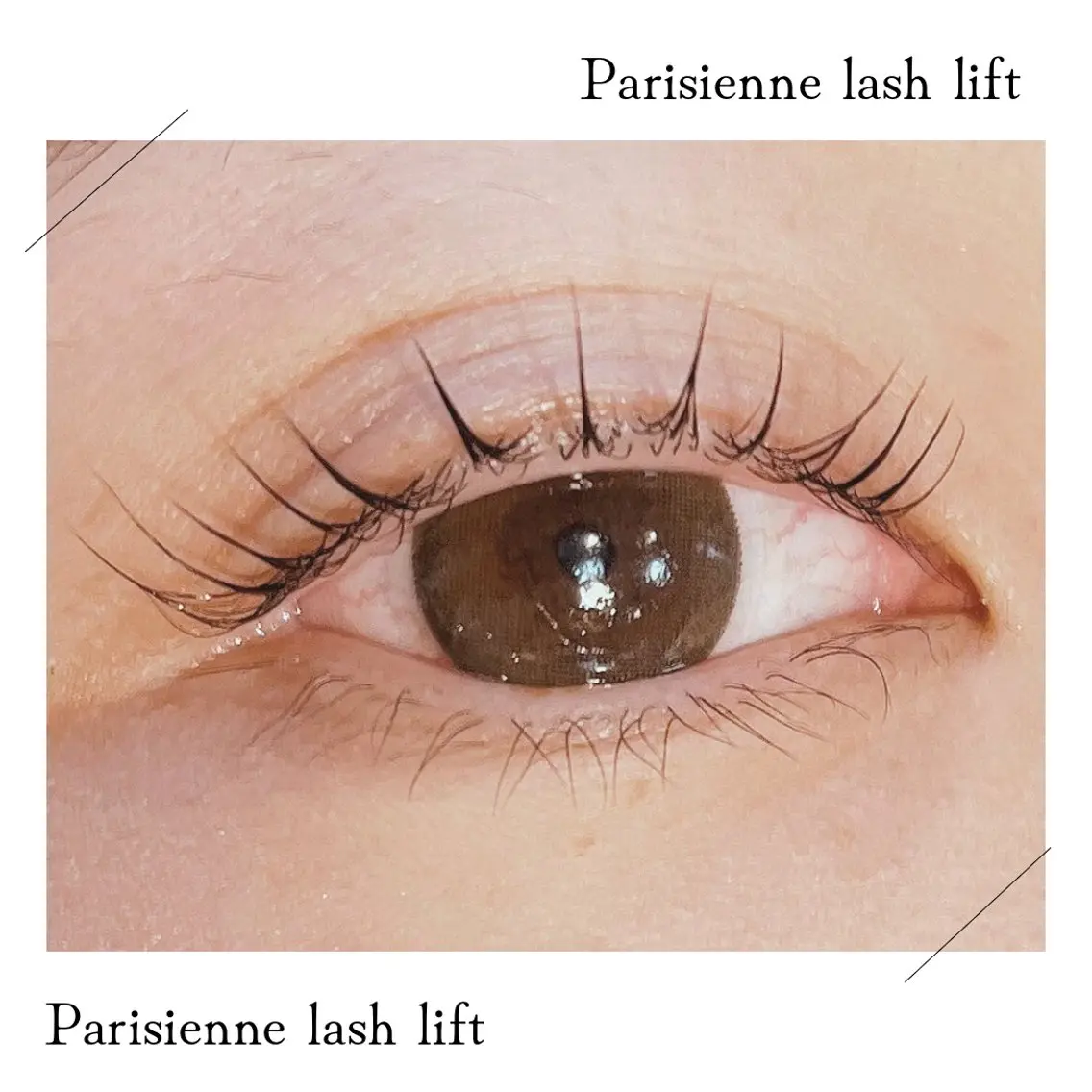 まつ毛パーマ👀+眉毛カット✂️の写真
